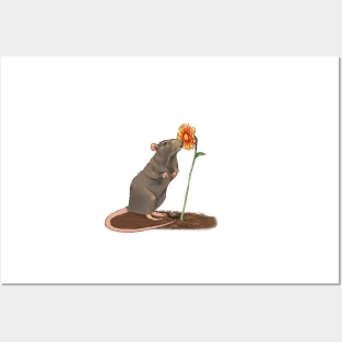 Rat with a flower Posters and Art